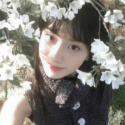 春季大赏